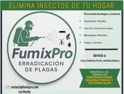 Servicios FumixPro: eliminación de cucarachas, termitas, arañas, hormigas, mosquitos, chinches y roedores en Los Mochis